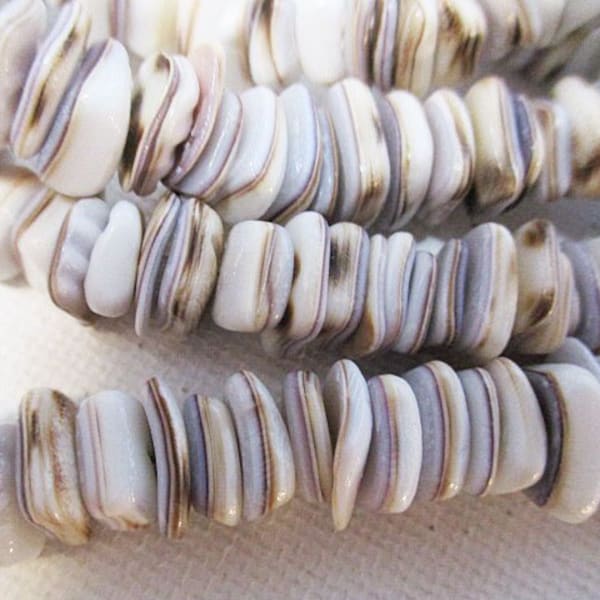 Tiger Cowrie Shell Chip Spacer Beads, Polished 5mm - 8mm, 16 Inch Strand - sh250
