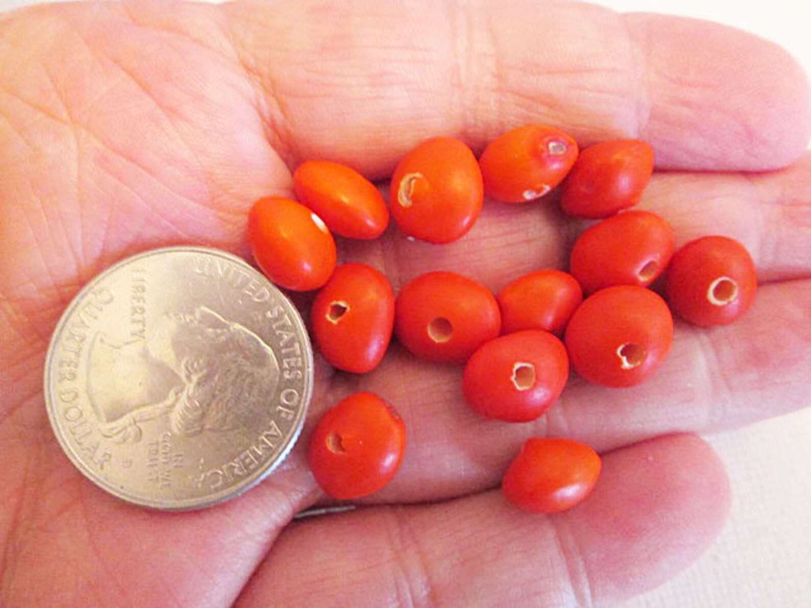Bahay Seed Pod Beads Red 10x6mm Spacer Beads Sold per 30 Etsy