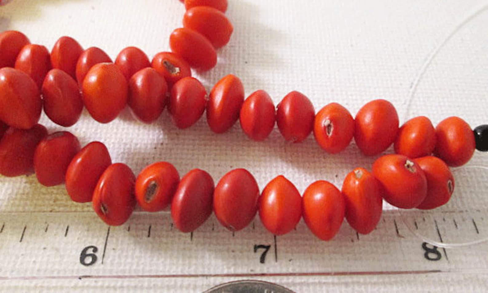 Bahay Seed Pod Beads Red 10x6mm Spacer Beads Sold per 30 Etsy