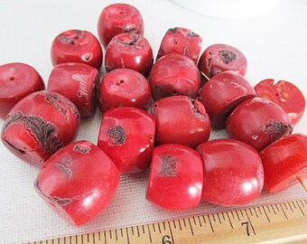 Red Bamboo Coral Beads, 20mm to 22mm Barrel Beads, 7 count - cor47