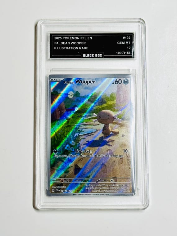 all rainbow cards pokemon The Rainbow Rare Cards Of Pokmon TCG: Vivid Voltage Part 1