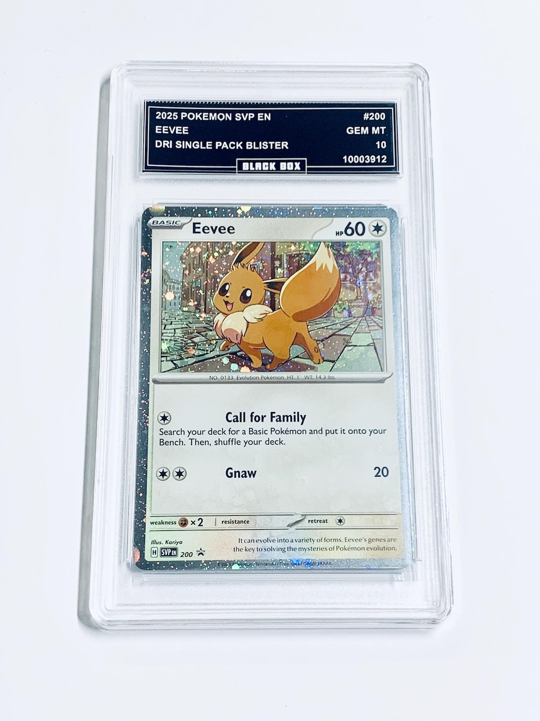 イーブイ Eevee 2025 Pokemon Svp En-dri Single Pack Blister #200 Graded 10