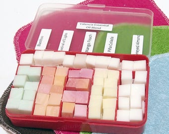 Cloth Wipe Bit Wipe Solution Cubes sampler (red box) -vegan, phthlate and paraben-free - Choose your own scents