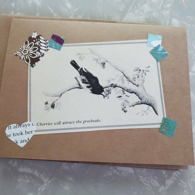 Bird-themed Blank Kraft Notecards, titled 'Tell Me More', Greeting Cards, Snail Mail, Vintage Ephemera, set of 3 image 3