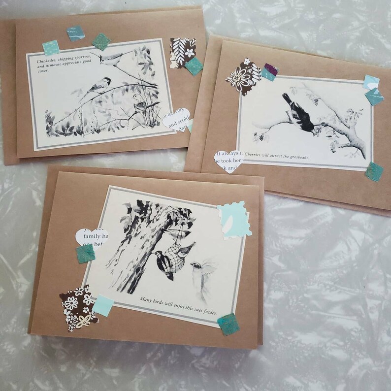 Bird-themed Blank Kraft Notecards, titled 'Tell Me More', Greeting Cards, Snail Mail, Vintage Ephemera, set of 3 image 1