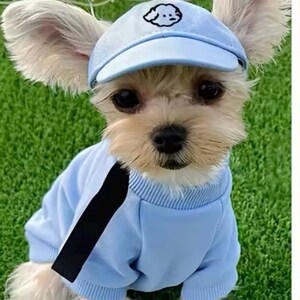 Adjustable Dog Sun Hat Embroidery Cartoon Dog Design, Sun Proof And Waterproof Suitable For Small To Medium Dogs And Cats