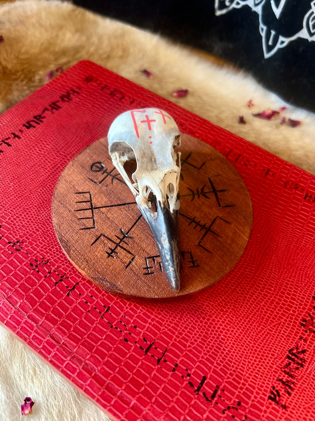 Runic Crow Skull | Shamanic | Viking Gift | Altar | Taxidermy | Spell ...