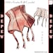 Vintage Sewing Pattern French 1950s Pin Up Corset Garter Belt Digital Pattern 25-45' Waist Depew 2002-INSTANT DOWNLOAD- 