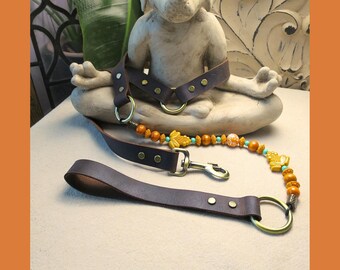 May include: A brown leather dog leash and collar set with gold-colored hardware. The leash features a handle and a clasp, while the collar has a ring. The leash is adorned with wooden beads and decorative accents.