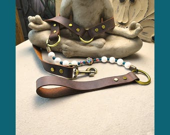 May include: A brown leather pet collar and leash set with brass-colored hardware. The collar features white beads and a decorative beaded section. The leash has a handle and a clasp for secure attachment.