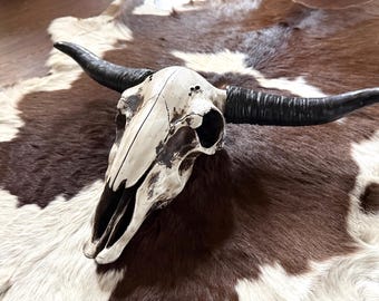 May include: A bleached animal skull featuring long, curved, dark charcoal-colored horns. The bone surface displays a natural off-white cream color with weathered dark grey and black textured markings across the cranium and nasal cavity.