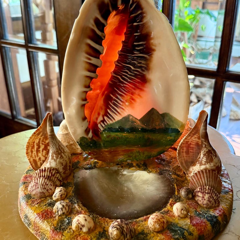 Conch Shell Lamp - Etsy