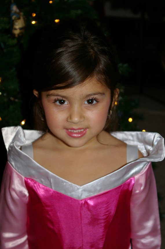 4t princess costume