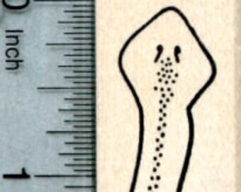 Planarian Rubber Stamp, Flatworm, Biology Series D33103 Wood Mounted