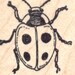 see more listings in the Animal Rubber Stamps section