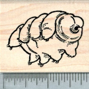 Tardigrade Rubber Stamp, Water Bear, Moss Micro Animal G32826 Wood Mounted