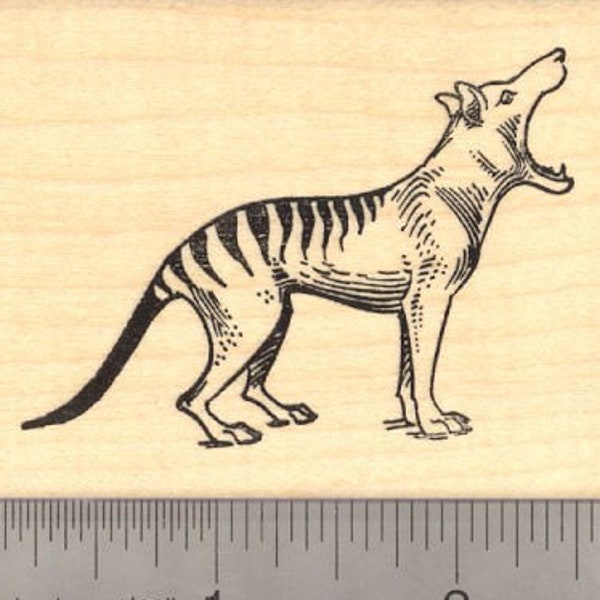 Tasmanian Tiger (Thylacine)  Rubber Stamp  H13205 Wood Mounted