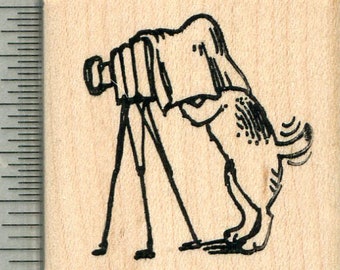 Stempel Hund Fotograf, Fotografie Serie D34407 auf Holz montiert