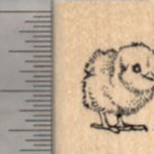 Tiny Baby Chick Rubber Stamp, Chicken A21911 Wood Mounted