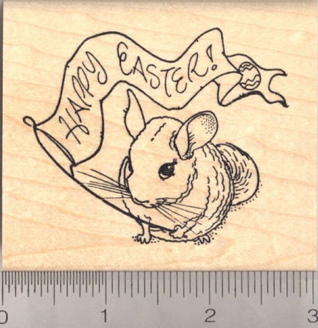 Chinchilla Easter Rubber Stamp L12903 Wood Mounted Etsy