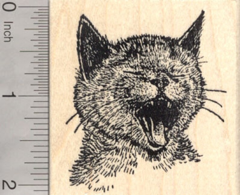 Yawning Cat Rubber Stamp Kitten Face J26205 Wood Mounted