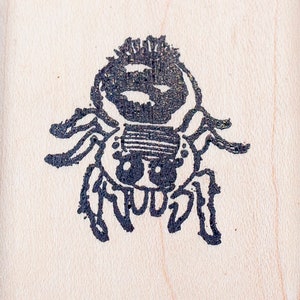 Jumping Spider Rubber Stamp, Bold Jumper E38816 Wood Mounted