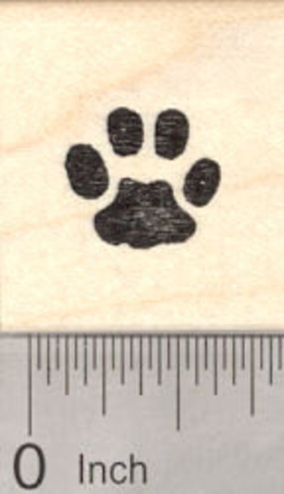 Cat And Dog Paw Prints How To Tell The Difference Between Canine