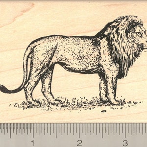 Lion Rubber Stamp M5807 Wood Mounted
