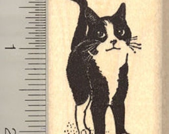 Adorable Black and White Cat Rubber Stamp H10214 WM