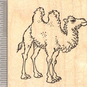 Bactrian Camel Rubber Stamp, Two Humps   - WM K23222