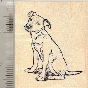American Pit Bull Terrier Dog Rubber Stamp K10316 WM