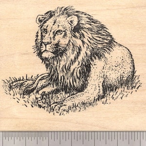 Tampon en caoutchouc Lion M5807, montage sur bois