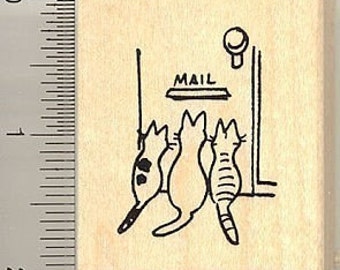 Cute kitties waiting for mail rubber stamp E8805 Wood Mounted cat