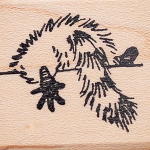 Raccoon Rubber Stamp, Tail end, Small D38723 Wood Mounted