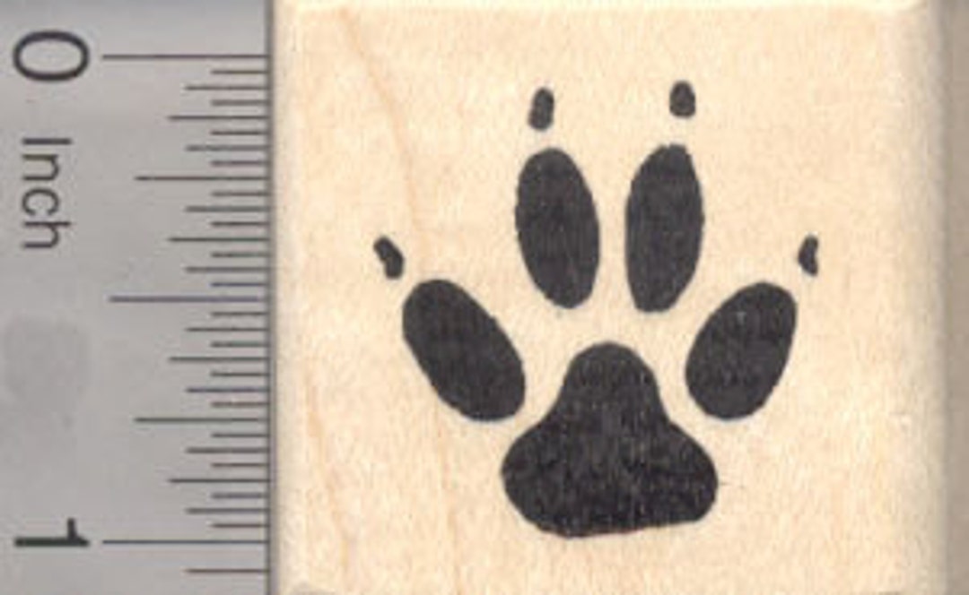 Dog Paw Print Rubber Stamp D3904 Wood Mounted - Etsy