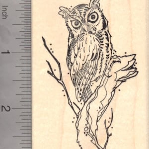 Eastern Screech Owl Rubber Stamp, North American Owls K17606 Wood Mounted