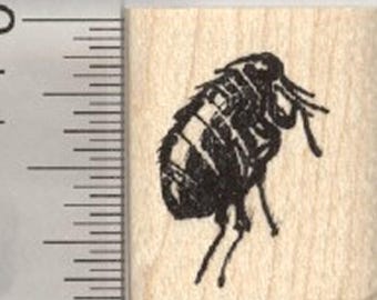 Flea Rubber Stamp A27927 Wood Mounted