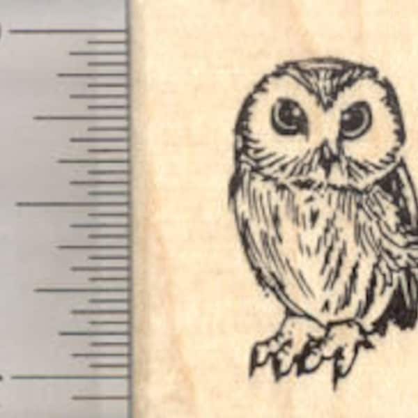 Owl Rubber Stamp, Small D25105 Wood Mounted