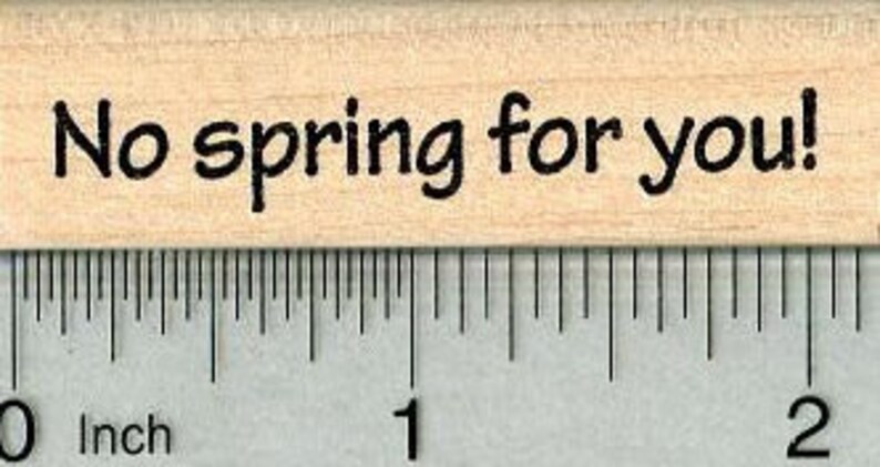 Groundhog Day Rubber Stamp Saying No spring for you B29518 Wood Mounted