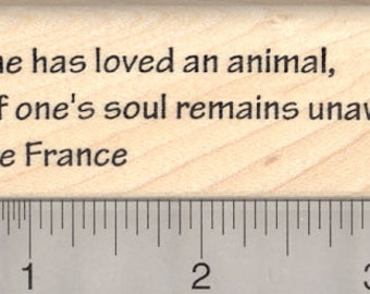 Animal Lover's Quote Rubber Stamp, Anatole France H24220 Wood Mounted