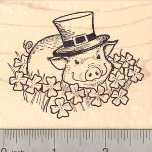 St. Patrick's Day Leprechaun Pig Rubber Stamp K20701 Wood Mounted