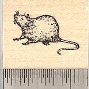 May include: A rubber stamp with a detailed illustration of a mouse. The mouse is shown in profile, with a curled tail. The stamp is mounted on a wooden block. The ruler indicates the stamp is approximately 2.5 cm in length.