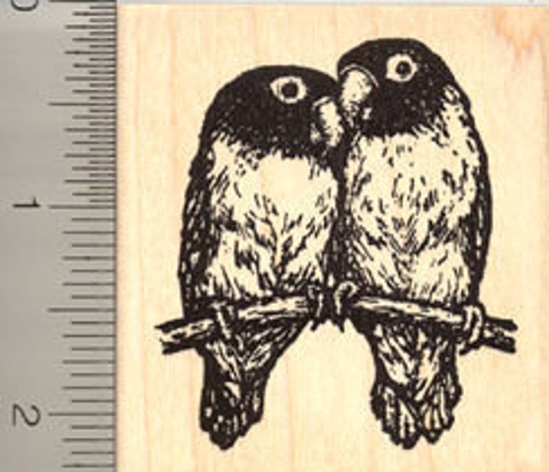 Lovebird Pair Rubber Stamp, Small Parrot Bird J2809 Wood Mounted image 1