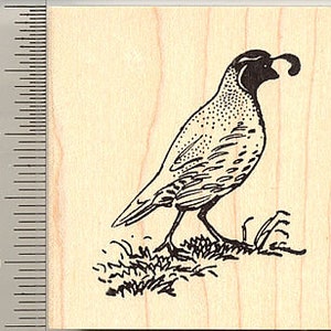 Quail Rubber Stamp H9013 Wood Mounted