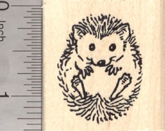 May include: A black and white line drawing of a hedgehog curled up in a ball. The hedgehog has a small, pointed nose, large eyes, and short legs.