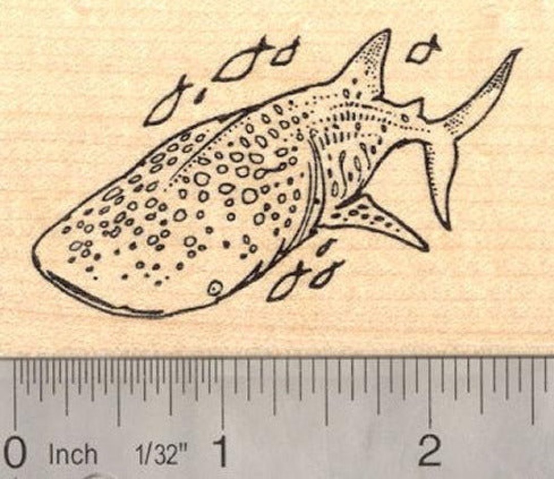Whale Shark Rubber Stamp J14414 Wood Mounted Etsy