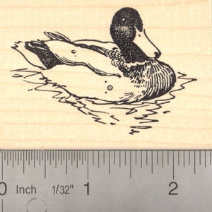 Mallard Duck Rubber Stamp K12703 Wood Mounted