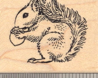 Red Squirrel Rubber Stamp Great Britain, Ireland G14310 Wood Mounted