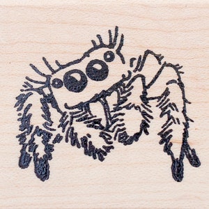 Jumping Spider Rubber Stamp, Bold Jumper G38809 Wood Mounted