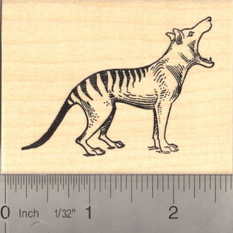 Tasmanian Tiger Rubber Stamp H13205 Wood Mounted Thylacine